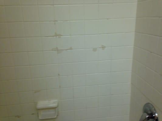 The bathroom wall of the first room...