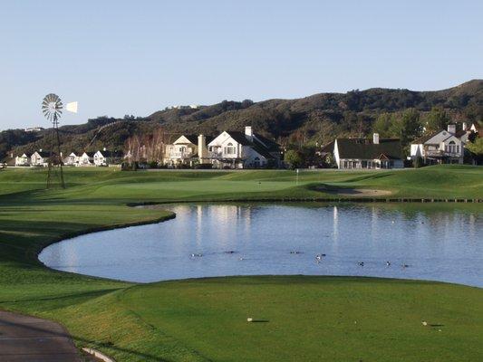 The Pond on #11 North