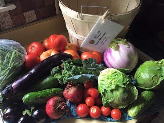 Summer Wind Farms Organic CSA Share.