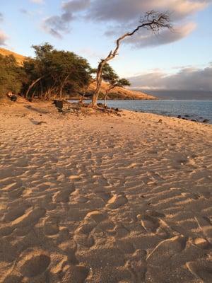 Beautiful beaches