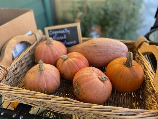 Winter squash