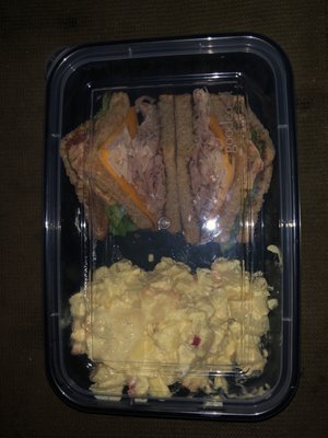 Potato Salad & Club Sandwich