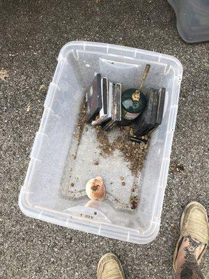 uncovered totes covered in feces and rodent nesting materials.