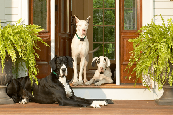 We install and service Indoor Pet Fence Containment Systems.