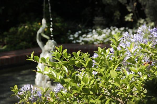 A Gardens Inc. water feature.