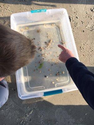 Touch Tank