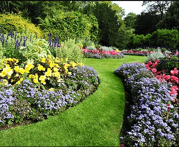 Lawn Mowing