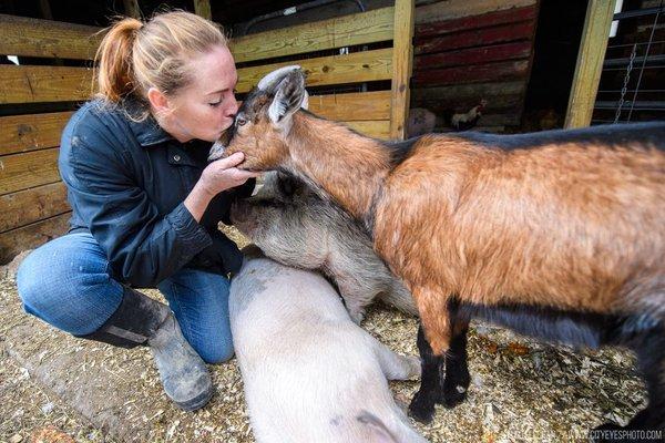 Baby "Robert Smith" the goat was sold to a teenager at an animal swap. He still had his taken from his mother at days old.