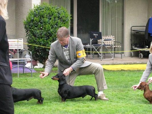 Dog show with son, a winner.