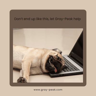 Let Gray Peak help you or your business with a website today!