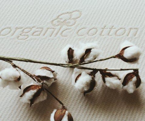 Organic mattress fabric.