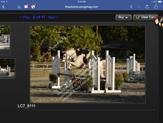 Ridge Haven Farm student showing....