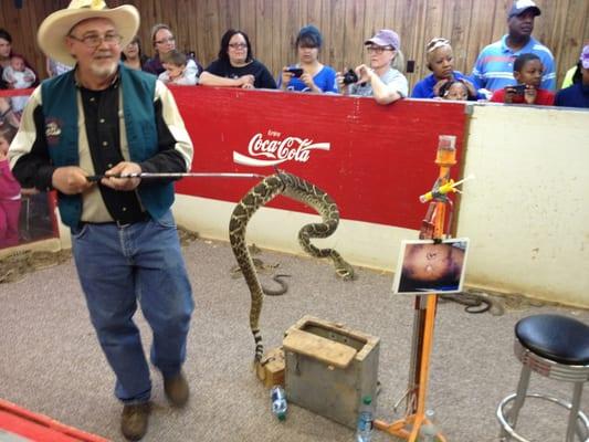 Rattlesnake festival