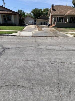 Pine  trees removed at Burbank city