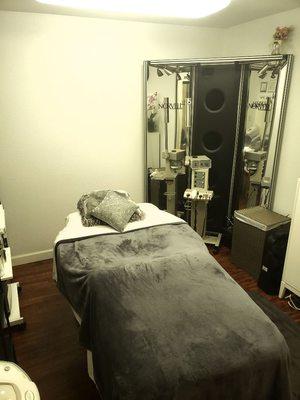 Treatment Room for massage, facials, waxing, eyelash extensions, and  airbrush tanning