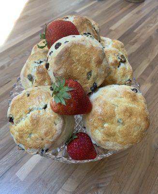 Scones
Made with love in San Jose Ca