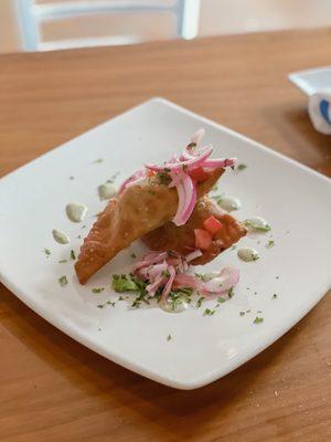 Empanadas - ground beef (with black olives) and spicy pork