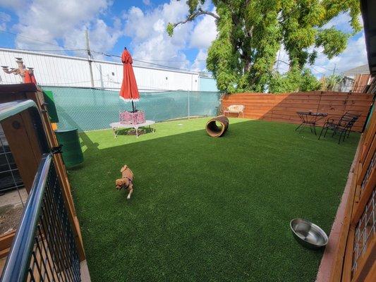 Fun playground for your furry friends with more seating area!