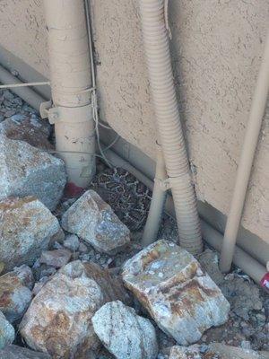 Some of the hazards we have to avoid treating your house. Nice snake!