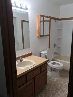 Finished Bathroom Remodel