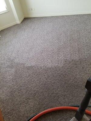 Before & after carpet cleaning