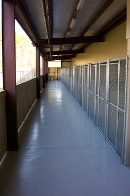 Outside Kennel Area