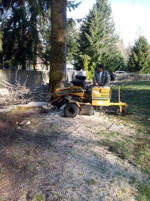 Hawks Tree Service