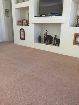 Carpet cleaned ready for new year