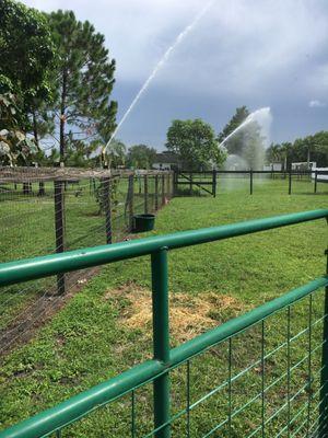 PASTURE IRRIGATION