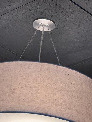 Dust on light fixture.