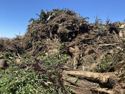 Drop off your green waste, logs, lumber and pallets