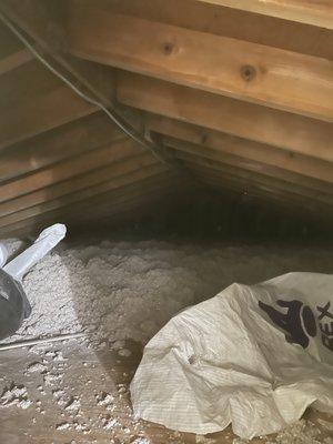 Attic After