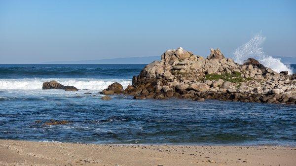 Pacific Grove Marine Gardens Park