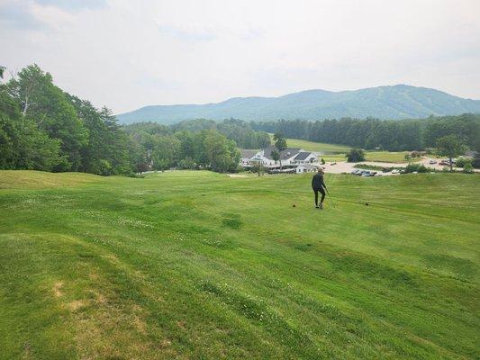 Typical hole view, the 18th par 3.