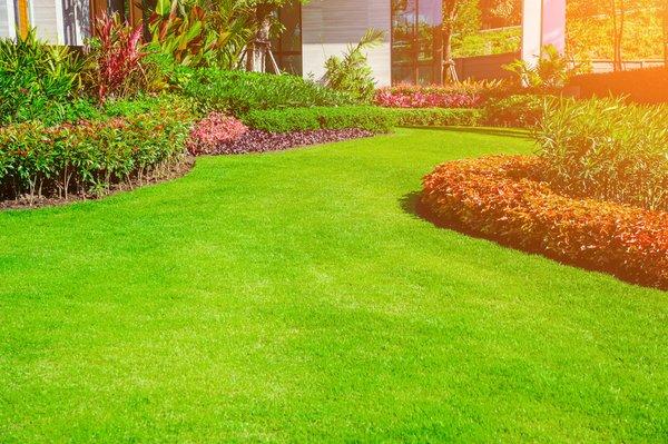 Do you need a lawn company to trim and maintain your lawn and shrubs?  R & R Lawn Shrub & Tree Services is a full service law...