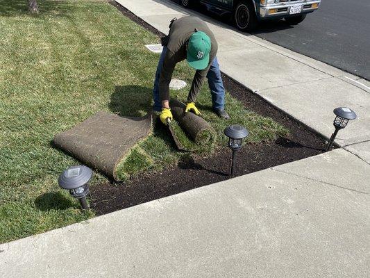 If you're lawn is looking a little "rough around the edges" we offer sod patching services too!