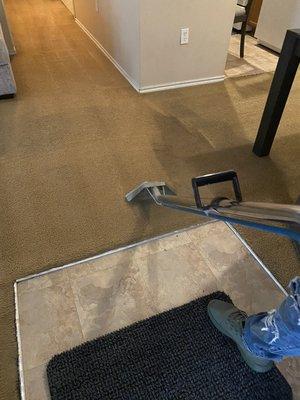 Deep carpet clean