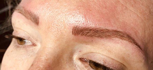 Permanent Makeup of Tampa Bay