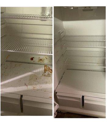 Inside Fridge Before/After