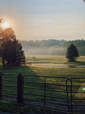 More property photos and a view of the lake that the horses frequent often for water and a swim