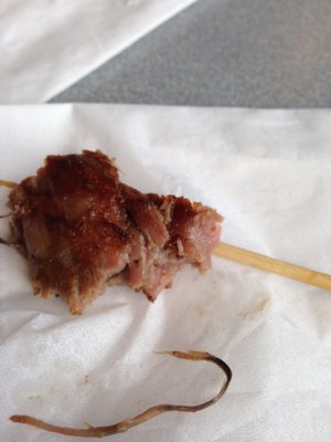 worms in the beef teriyaki