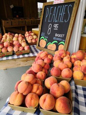 Produce stand