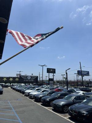 Dealership looks nice and clean