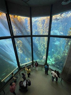 Monterey Bay Aquarium