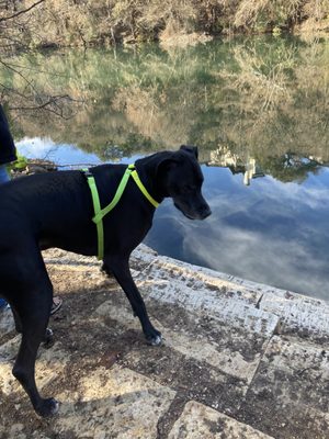 Red Bud Dog Park