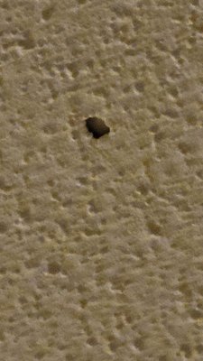 Stain on ceiling