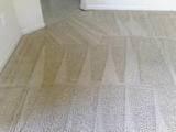 Hire carpet cleaners