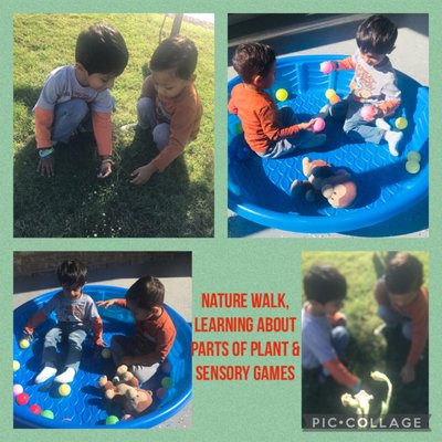 Nature is our first teacher - Children exploring and learning about plants during their Nature Walk STEAM activity