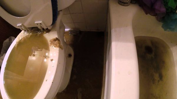 Toilet and tub flooded with toxic sewer water