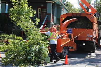 McKinney Tree Service